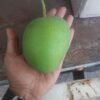 Devgad Gold Alphonso Mango (हापूस) - (>300 gms) - Image 2