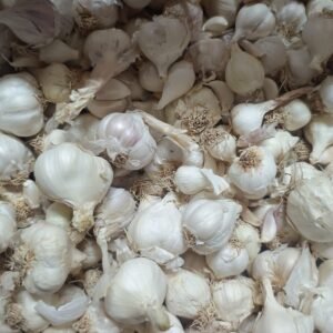 White desi garlic, Organic white garlic, Organic garlic, Desi variety garlic, Lasun,