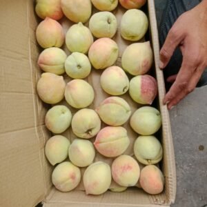 Organic peach, peach, naturally grown peach,