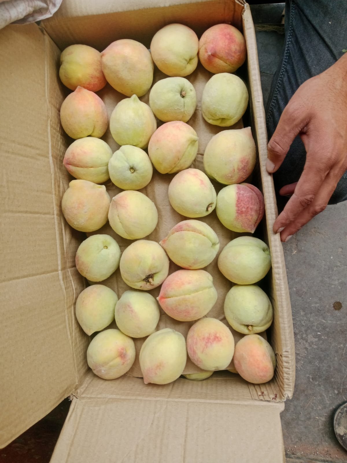 Organic peach, peach, naturally grown peach,