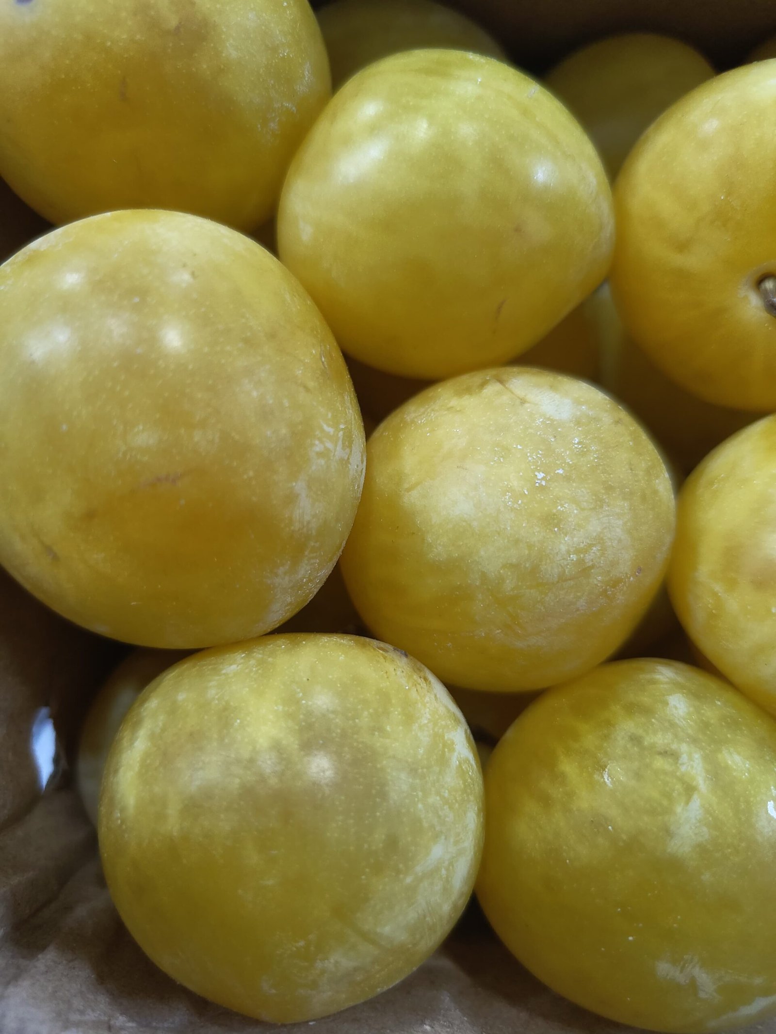 Yellow Plum, Organic Yellow Plum, naturally grown ywllow plum, plums, organic plums