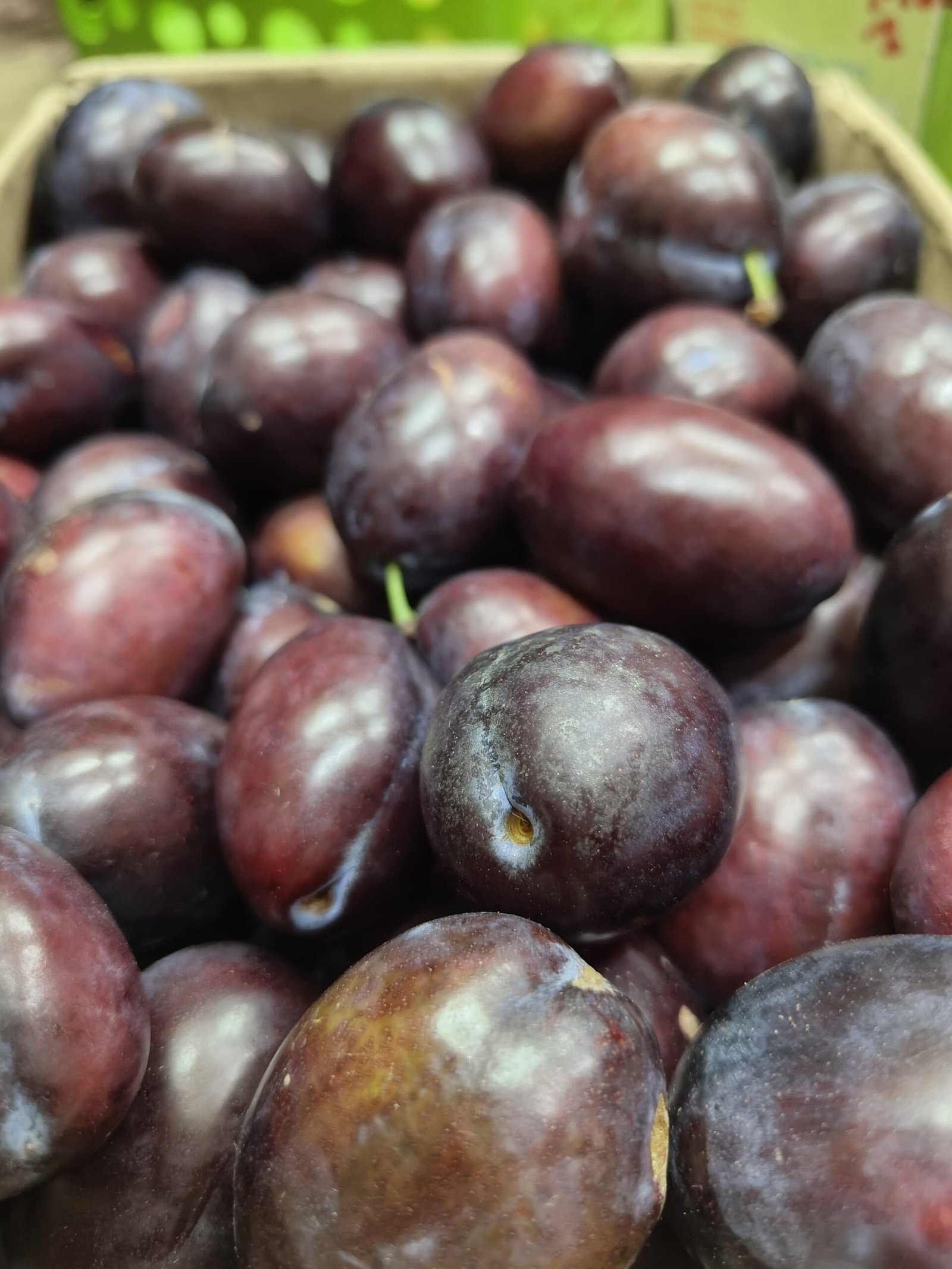 runes, Organic Prunes, Natural Prunes, Chemical Free Prunes