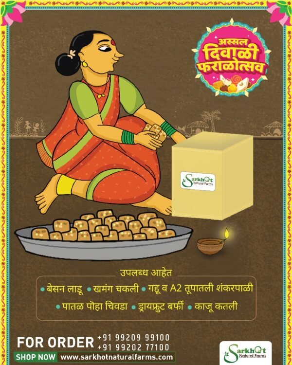 Dry Fruit Barfi, Organic Dry fruit barfi, No Sugar Dry Fruit Barfi, Dry fruit, dryfruit, barfi, organic barfi