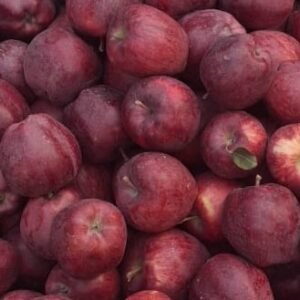 Kinnaur Apples, Organic Apples, Organic Kinnaur, apples, Organic Apples, SPNF Apples, Chemical free Apples