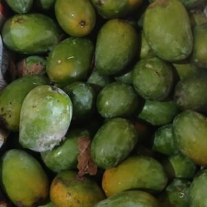 Desi Mango, Wild Mangoes, Forest Mangoes, Raival, Gavraan, Amba, Aam
